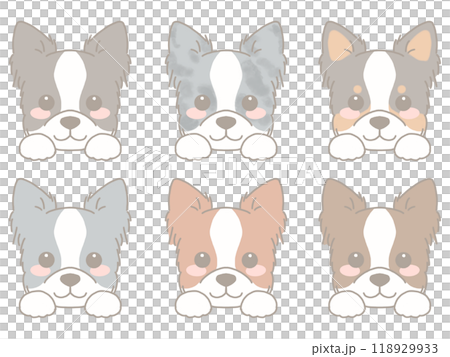 いろいろな犬の顔セット　ボーダーコリー 118929933