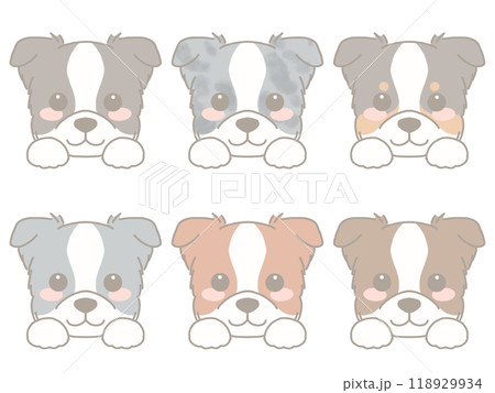 いろいろな犬の顔セット　ボーダーコリー 118929934