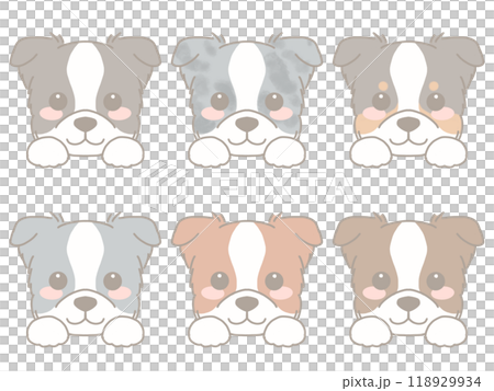 いろいろな犬の顔セット　ボーダーコリー 118929934