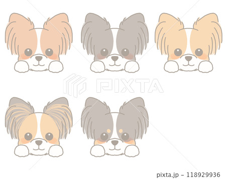 いろいろな犬の顔セット パピヨン いろいろな犬の顔セット パピヨン 118929936