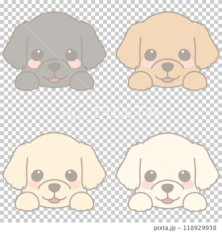 各種狗臉套裝尋回犬 118929938