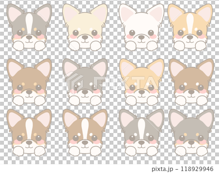 各種狗臉套裝吉娃娃 118929946