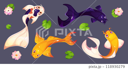 Koi fish and lotus flowers set 118930279