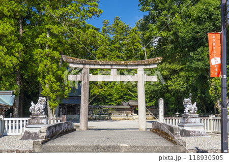 多賀大社　西参道入口 118930505