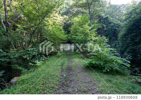 大菩薩嶺 (大菩薩峠登山口→石丸峠→上日川峠) 118930608
