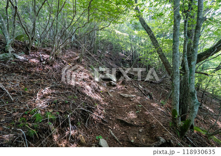 大菩薩嶺 (大菩薩峠登山口→石丸峠→上日川峠) 118930635