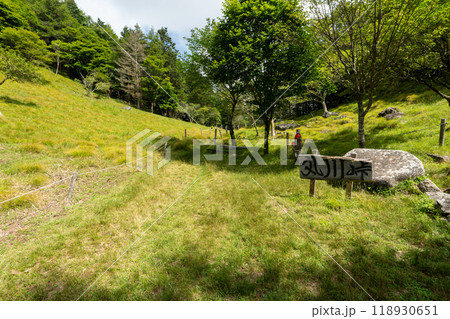 大菩薩嶺 (大菩薩峠登山口→石丸峠→上日川峠) 118930651