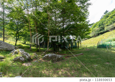 大菩薩嶺 (大菩薩峠登山口→石丸峠→上日川峠) 118930653