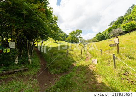 大菩薩嶺 (大菩薩峠登山口→石丸峠→上日川峠) 118930654
