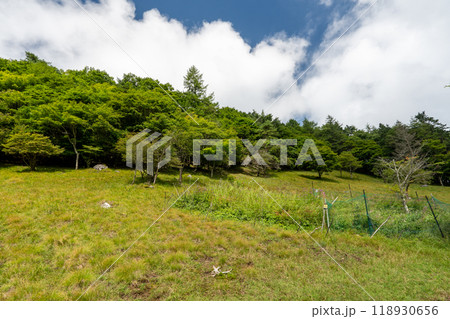 大菩薩嶺 (大菩薩峠登山口→石丸峠→上日川峠) 118930656