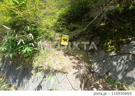 大菩薩嶺 (大菩薩峠登山口→石丸峠→上日川峠) 118930669