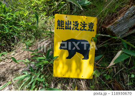 大菩薩嶺 (大菩薩峠登山口→石丸峠→上日川峠) 118930670