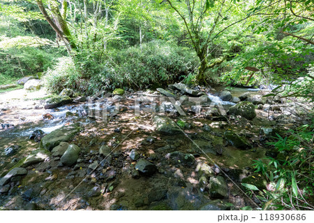 大菩薩嶺 (大菩薩峠登山口→石丸峠→上日川峠) 118930686