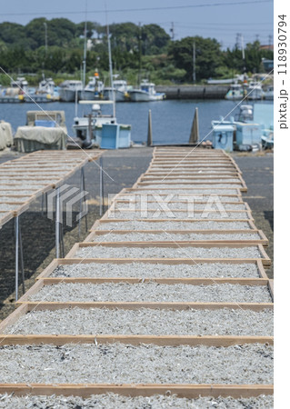 篠島の特産物であるシラス干し 118930794