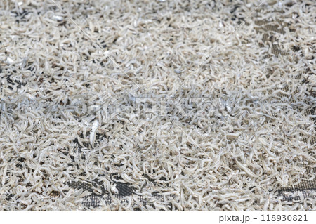 篠島の特産物であるシラス干し 118930821