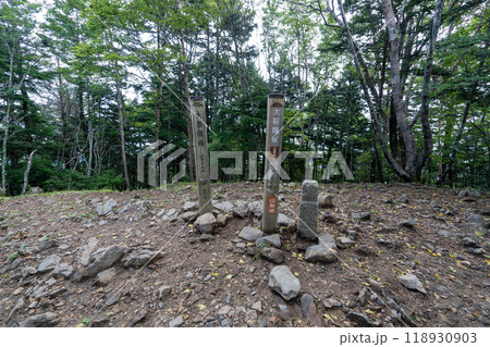 大菩薩嶺 (大菩薩峠登山口→石丸峠→上日川峠) 118930903