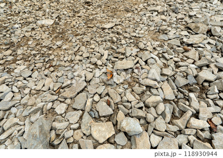大菩薩嶺 (大菩薩峠登山口→石丸峠→上日川峠) 118930944