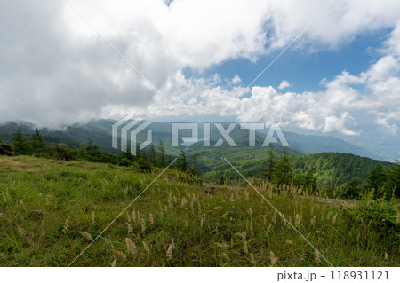 大菩薩嶺 (大菩薩峠登山口→石丸峠→上日川峠) 118931121