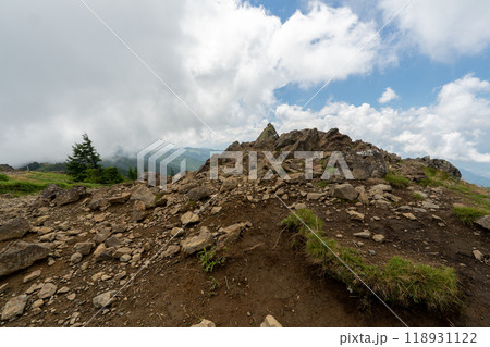 大菩薩嶺 (大菩薩峠登山口→石丸峠→上日川峠) 118931122