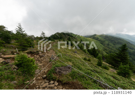 大菩薩嶺 (大菩薩峠登山口→石丸峠→上日川峠) 118931140