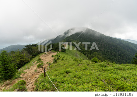 大菩薩嶺 (大菩薩峠登山口→石丸峠→上日川峠) 118931198
