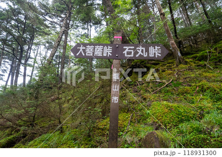 大菩薩嶺 (大菩薩峠登山口→石丸峠→上日川峠) 大菩薩嶺 (大菩薩峠登山口→石丸峠→上日川峠) 118931300