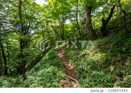 大菩薩嶺 (大菩薩峠登山口→石丸峠→上日川峠) 大菩薩嶺 (大菩薩峠登山口→石丸峠→上日川峠) 118931343