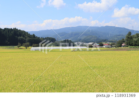 群馬県高山村の風景 118931369