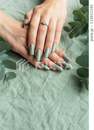 Elegant green manicure with long nails surrounded by eucalyptus leaves Elegant green manicure with long nails surrounded by eucalyptus leaves 118931395