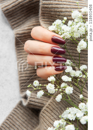 Elegant deep burgundy nails displayed alongside delicate white flowers on a cozy knit sweater Elegant deep burgundy nails displayed alongside delicate white flowers on a cozy knit sweater 118931408
