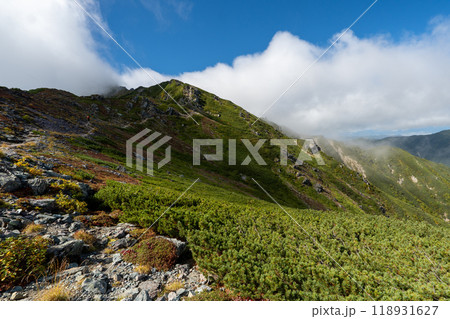 北岳登山 (広河原山荘→北岳山荘） 118931627