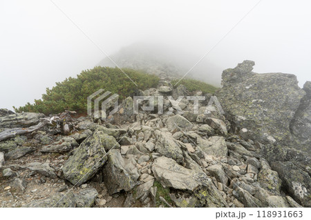 北岳登山 (広河原山荘→北岳山荘） 118931663