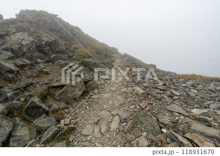 北岳登山 (広河原山荘→北岳山荘） 118931670
