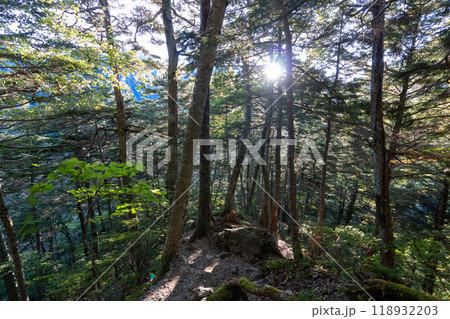 北岳登山 (広河原山荘→北岳山荘） 118932203