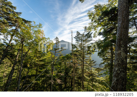 北岳登山 (広河原山荘→北岳山荘） 118932205