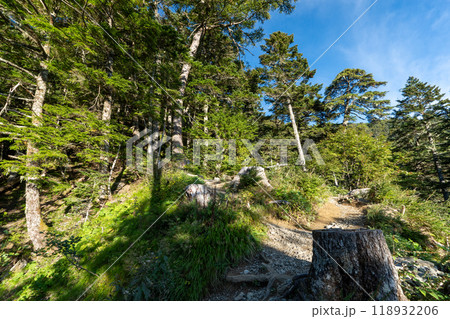 北岳登山 (広河原山荘→北岳山荘） 118932206