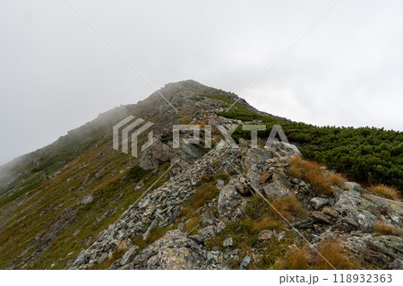 北岳登山 (広河原山荘→北岳山荘） 118932363