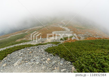 北岳登山 (広河原山荘→北岳山荘） 118932364