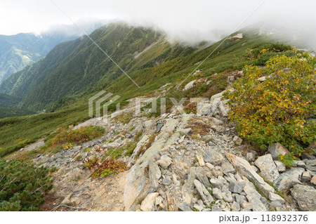北岳登山 (広河原山荘→北岳山荘） 118932376
