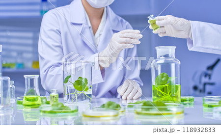 The template photo depicts two scientists in a bright lab, one holding a small glass bottle of green liquid and the other assisting with other scientific equipment and pennywort. The template photo depicts two scientists in a bright lab, one holding a small glass bottle of green liquid and the other assisting with other scientific equipment and pennywort. 118932833