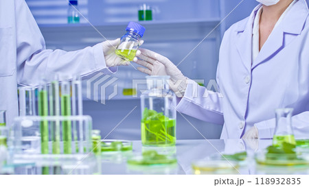 A little container of green liquid is exchanged between two scientists wearing lab coats and gloves in a laboratory. The background comprises lab equipment and more gotu kola ingredients. 118932835