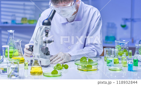 This image of a centella experiment in a modern laboratory features a scientist observing a sample under a microscope in detail, surrounded by other experimental equipment and centella samples. This image of a centella experiment in a modern laboratory features a scientist observing a sample under a microscope in detail, surrounded by other experimental equipment and centella samples. 118932844