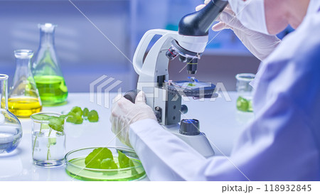The image uses a rear-view angle to clearly show the scientist's workbench examining a sample of gotu kola under a microscope, surrounded by glass bottles containing colorful solutions. The image uses a rear-view angle to clearly show the scientist's workbench examining a sample of gotu kola under a microscope, surrounded by glass bottles containing colorful solutions. 118932845