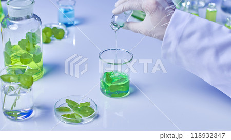 The scientist poured a small bottle of solution into a beaker containing green and pennywort leaves, followed by jars and glass bottles containing the pennywort soaked solution. The scientist poured a small bottle of solution into a beaker containing green and pennywort leaves, followed by jars and glass bottles containing the pennywort soaked solution. 118932847