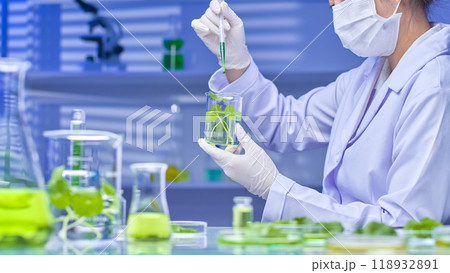 The scientist used a dropper to drop the green solution into the beaker containing centella solution. On the table were the specimens and tools for the centella experiment. High-quality photo template The scientist used a dropper to drop the green solution into the beaker containing centella solution. On the table were the specimens and tools for the centella experiment. High-quality photo template 118932891