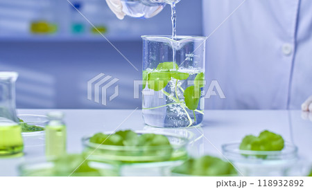 High-quality image of a scientist pouring water from a flask into a beaker containing solution and centella samples, placed on a table surrounded by glassware containing solution and centella samples. 118932892