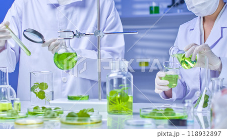 Modern science lab with two scientists observing and pouring gotu kola solution from flask into beaker. On the table are gotu kola samples and equipment for the experiment. High quality image template 118932897