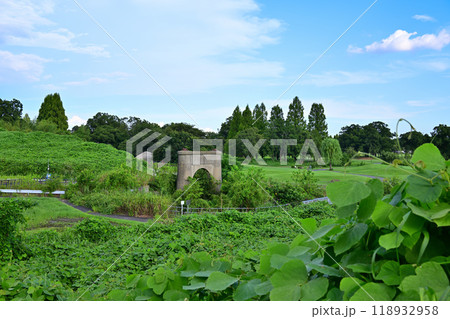 旧上江橋　橋脚　暮らしの遺産　国道16号西大宮バイパス付近　　 118932958