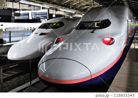 700系・E4系新幹線 東京駅② 700系・E4系新幹線 東京駅② 118933343