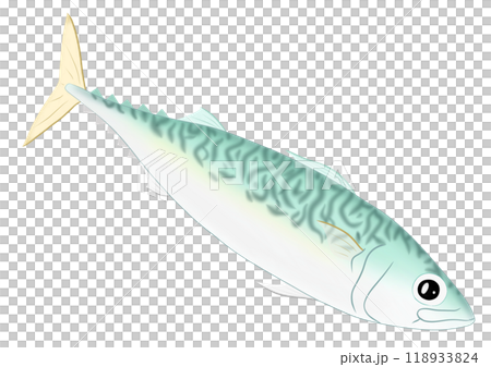 薩巴 薩巴 118933824